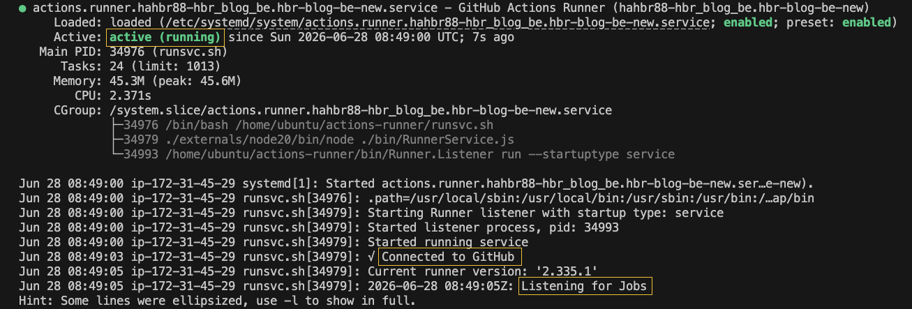 systemd Runner 서비스 상태